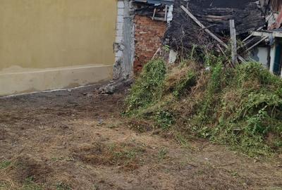 Teren de vanzare in zona Chitila / Bucurestii Noi Teren de vanzare in zona Chitila / Bucurestii Noi - 6