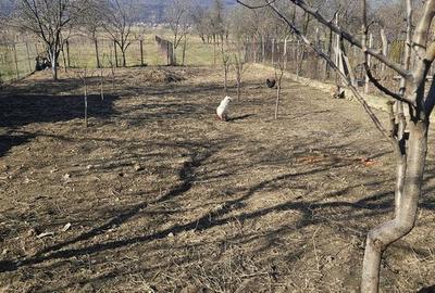 Casă cu 4 camere cu Teren 90 Mp în Dârmănești - 2