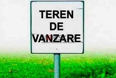 Teren extravilan | Tancabesti | 5000mp - 1