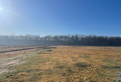 Pipera -Padurea Baneasa 5000m -C.U. Pipera -Padurea Baneasa 5000m -C.U. - 5