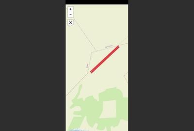 Teren Agricol 3 Ha - Între Biled și Becicherecu Mic - 2