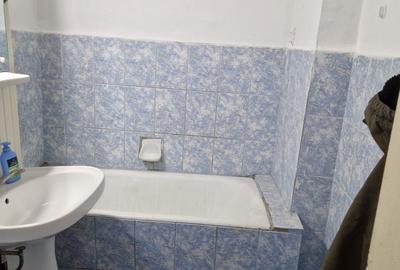 Apartament cu 2 camere decomandat în Gura Văii - 3