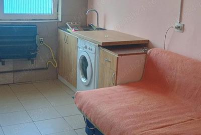 Garsonieră decomandată în Turnișor - 7