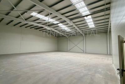 Spațiu industrial, în Chitila - 4