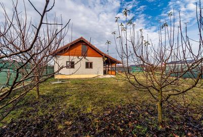 Casă individuală în Dorobanți – 21 km de Arad - 4