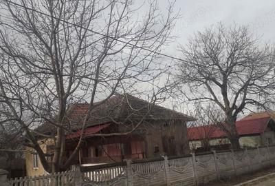 REZERVATA casa Com. Patulele, jud. Mehedin?i, cu 3000 mp curte - 4