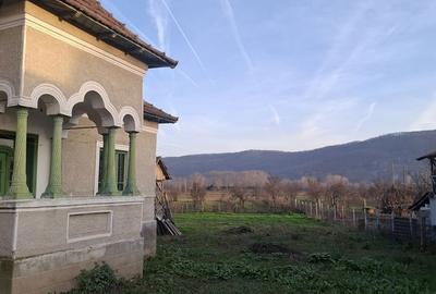 Casă cu 5 camere cu Teren 4443 Mp în Nicolae Bălcescu - 5