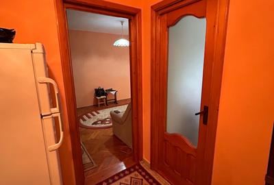 Apartament cu 3 camere semidecomandat, mobilat în Viziru 1 - 5
