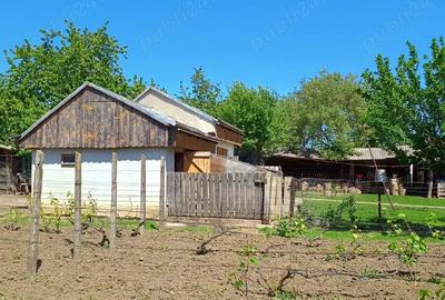 Casă cu 4 camere în Schit-Orășeni - 1