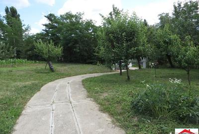 Casă cu 7 camere cu Teren 3200 Mp în Viile Satu Mare - 5