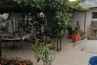 Casă cu 3 camere cu Teren 500 Mp în Central - 4