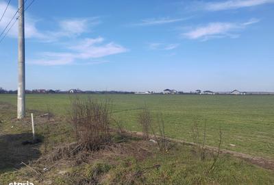 Spațiu comercial, în Tânganu