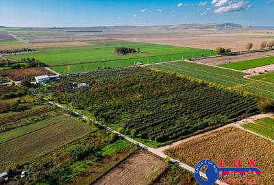 ID 7785 LIVADA SABANGIA DE VANZARE - 10