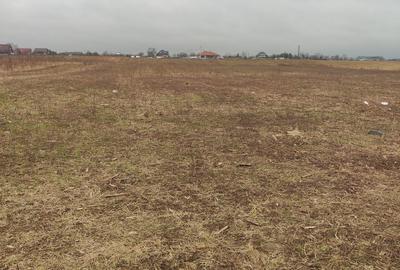 Spațiu comercial, în Săvinești - 5