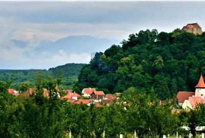 Teren Construcții intravilan de 706 mp, în Cisnădioara - 13