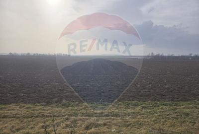 Teren 13.773mp de vanzare, Bogdan Voda / E85 - 4