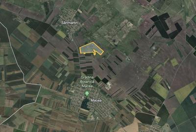 Teren 42 ha pentru parc fotovoltaic – Macea, Arad - 3