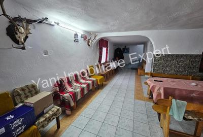 Casa de vacan?a pensiune de vanzare in comuna Salatrucu ( Valea Topologului), Jude? Arge?. - 14