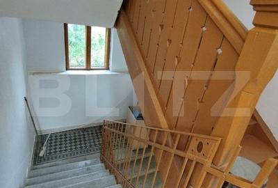 Casa istorica, 2 apartamnte, curte proprie- posibilitati multiple, zona Balcescu - 15