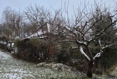 Coas, cabana, 28 ari teren - 4