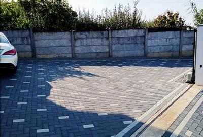 Casă cu 5 camere cu Teren 220 Mp în Oncea - 5
