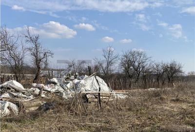 RECO Teren intravilan in Apateu 4200mp - 2