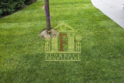 Proprietate superba ! Visan ! - 3