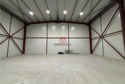 Spațiu comercial, de 595 mp, în Theodor Pallady - 5