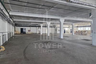 Hala generosa de închiriat . - 6