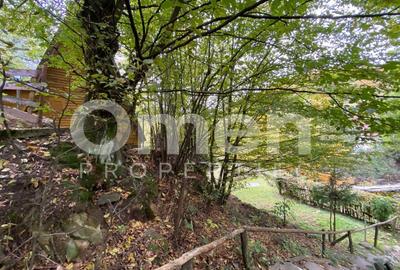 Casă individuală cu 2 camere cu Canalizare în Firiza - 18