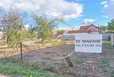 Teren de vânzare: 504 mp - Becicherecu Mic, poziție excelentă, în vatra satului! - 1