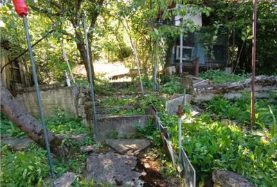 Casa, gradina si curte intr - un peisaj de poveste, aici in - 7