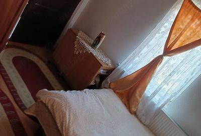 Casă cu Teren 462 Mp în Cetate - 8