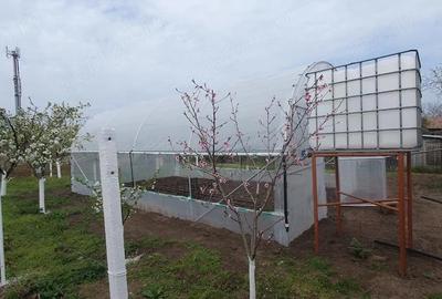 Casă cu 2 camere cu Teren 1000 Mp în Central - 2