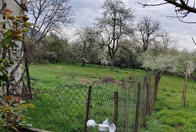 De vanzare doua case parinte?ti pe acela?i teren, in Ca?eiu, jud. Cluj - 5