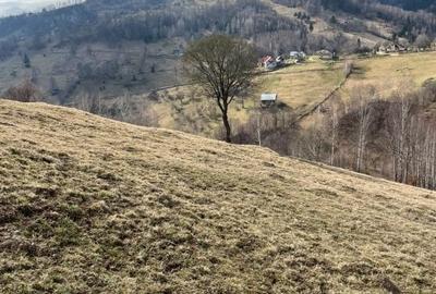 Vanzare Teren cu Punct de Belvedere in Moieciu zona Magura-Pestera - 12