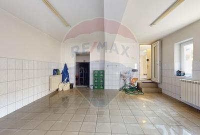 Vila Spatioasa si Eleganta in zona Crangasi-De Inchiriat - 9