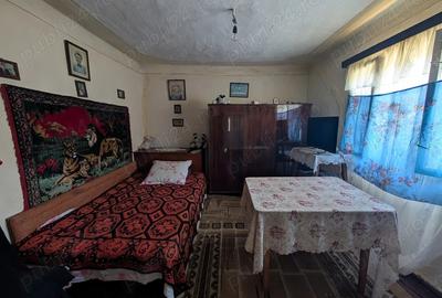 Casa de vanzare (curte 1900mp) Dragoe?ti, jud. Ialomi?a (40-50 km de Bucure?ti) - 2