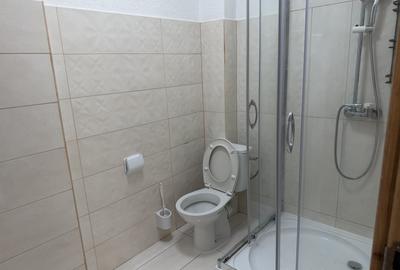 Apartament cu 2 camere semidecomandat în Mihai Viteazul - 5