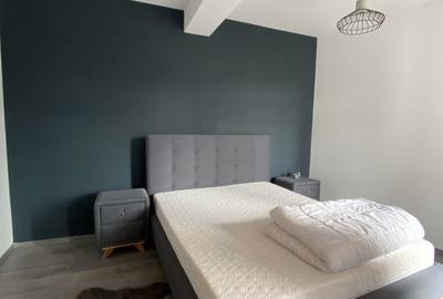 Apartament cu 2 camere decomandat în Borhanci - 4