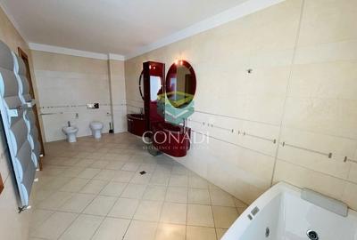 Iancu Nicolae, vila de inchiriat, 5 camere - 16