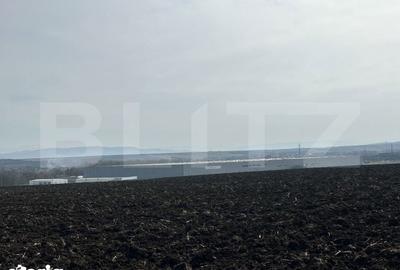 Teren de 15000 mp, în Sântuhalm - 4