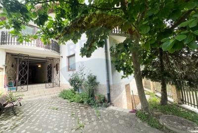Vila si casa de vacanta Sibiel - 14