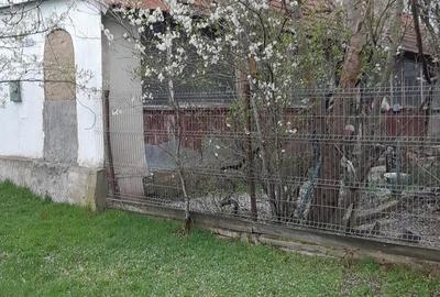 Teren de 2800 mp, în Iosif