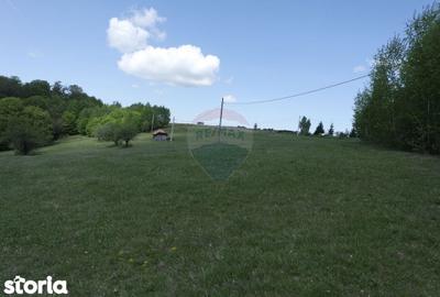 Teren de 7500 mp, în Copalnic - 7