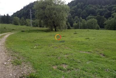 Teren de 1500 mp, în Central - 8