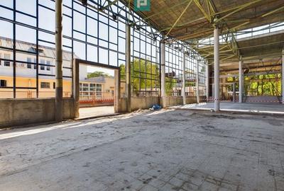 Spatiu depozitare zona Pantelimon Obor - 8