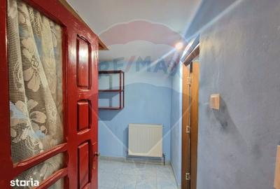 Casă cu 3 camere cu Teren 2254 Mp în Mănăstirea Cașin - 19