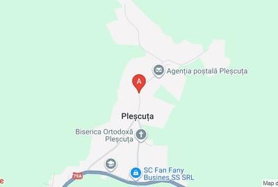 Padure veche in loc. Plescuta - 1