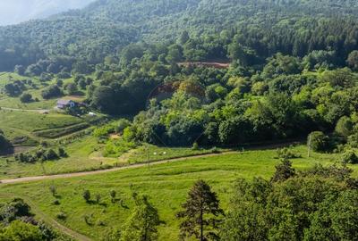 Teren agricol extravilan de 1375 mp, în Cristian - 6